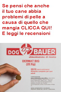 crocchetta Dermat Big Dogbauer tenuta in mano